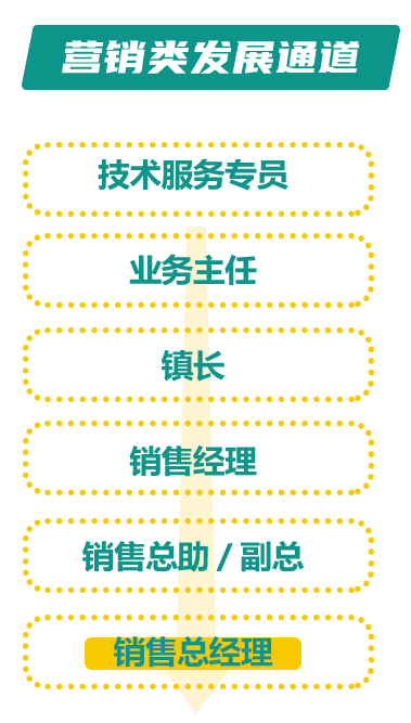 <p>营销类发展通道</p> <p>技术服务专员</p> <p>............................*</p> <p>业务主任</p> <p>镇长</p> <p>销售经理</p> <p>销售总助/副总</p> <p>销售总经理</p> <p>...........................</p>